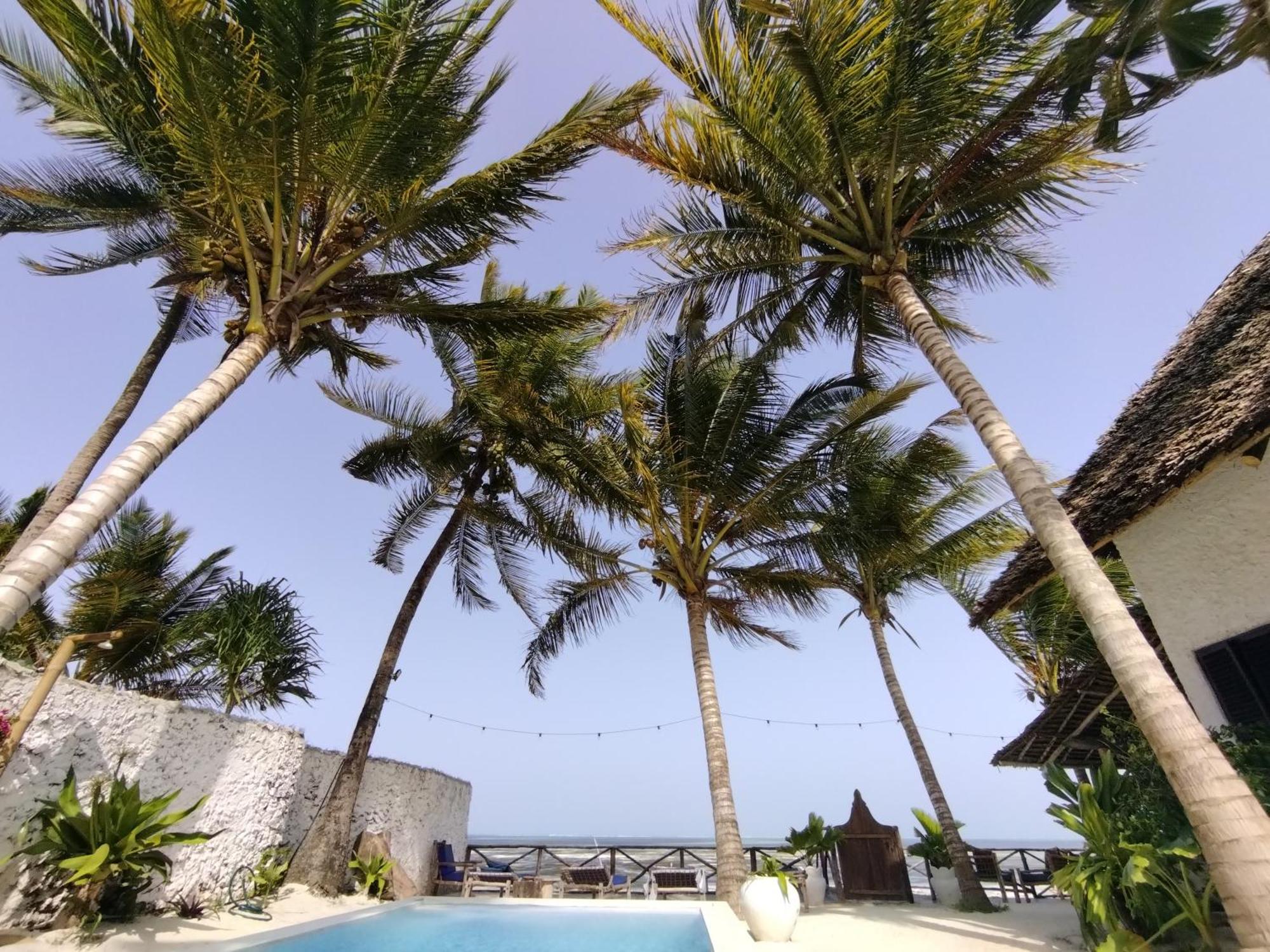 Mamamapambo Boutique Hotel Jambiani  Exteriér fotografie